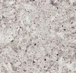 6270 Atlantic Salt