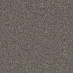 BL-205 Semidentary