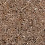 WA389 Wilshire Amber