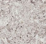 6270 Atlantic Salt