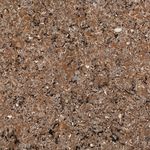 WA389 Wilshire Amber